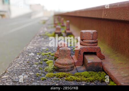 Close up and macro outdoor view at abandon and rusty bolt, screw and screw nut beside rust light rail steel beam covered in algae. Stock Photo