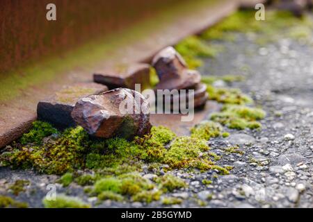 Close up and macro outdoor view at abandon and rusty bolt, screw and screw nut beside rust light rail steel beam covered in algae. Stock Photo