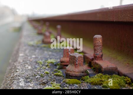Close up and macro outdoor view at abandon and rusty bolt, screw and screw nut beside rust light rail steel beam covered in algae. Stock Photo