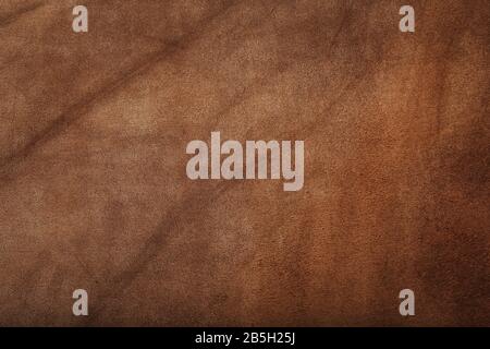 Brown skin texture close up as background. In full screen. The material for the manufacture of leather goods Stock Photo