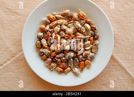 Plate of Andean Toasted Chulpe Corn Kernel with Salt Call Cancha Stock Photo