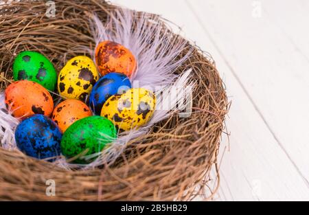 Multi-colored Easter eggs in a nest on a white wooden background. Stock Photo