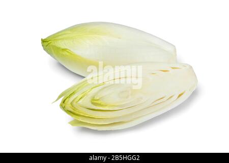 Whole and half fresh raw Belgian endive isolated on white background Stock Photo