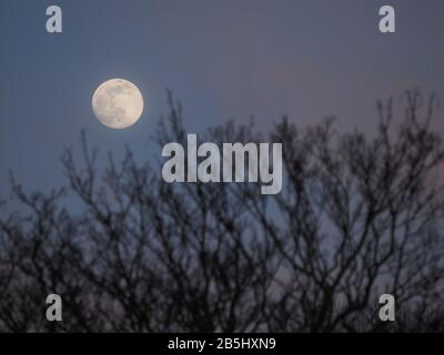 Sheerness, Kent, UK. 8th Mar, 2020. UK Weather: the full Worm Super Moon rising into the night sky this evening. Credit: James Bell/Alamy Live News