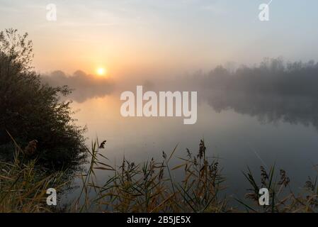 Beautiful landscape image of mist over river Mures in Transylvania, Romania at sunrise Stock Photo