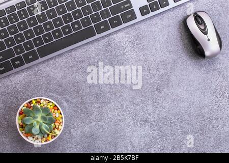 Keyboard with mouse and succulent top Stock Photo