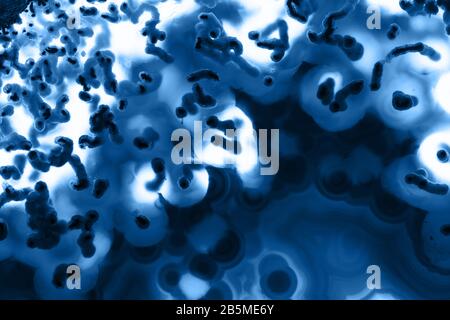 Abstract background, agate mineral cross section, color of the year 2020 pantone classic blue 19-4052 Stock Photo