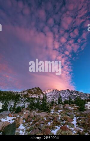 Dawn, Lenticular Clouds, Mount Shasta, Shasta-Trinity National Forest, California Stock Photo
