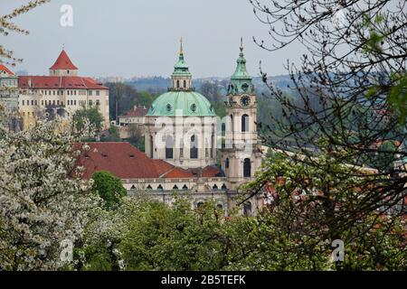 The Dome and tower of St. Nicholas Church Prague are seen through the foliage and spring blossoms of fruit trees in the orchards on Petrín Hill Park Stock Photo