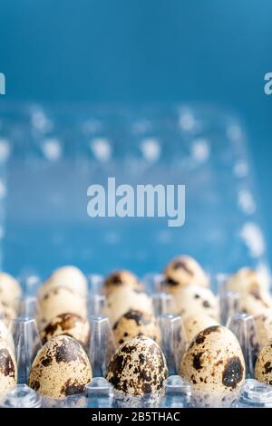 Quail eggs in a plastic box on a classic blue background. Plasticine box of quail eggs on a blue background. Stock Photo