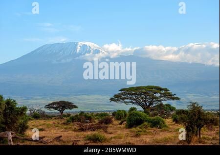 Beautiful view of the majestic Mount Kilimanjaro seen from Amboseli National Park, Kenya. Stock Photo