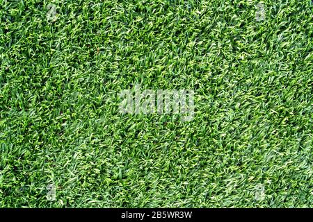 above shot of green grass or lawn of a play ground or field. Pattern and Textured concept Stock Photo