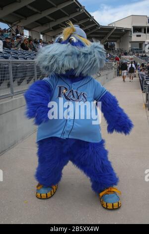 One of the Tampa Bay Rays mascot DJ Kitty poses on the field