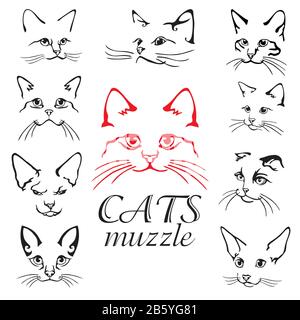 Set of abstract vector illustration of cats muzzle set. Abstract animal icon label. Flat illustration with cats head. Isolated vector objects on white Stock Vector