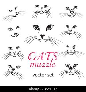 Abstract vector illustration of cats muzzle set. Set of  Cats logo design template. Abstract animal icon label. Flat illustration background with cat Stock Vector