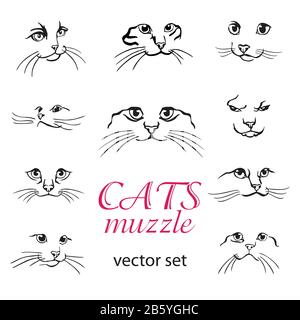Set of abstract vector illustration of cats muzzle set.  Abstract animal icon label. Flat illustration with cat head. Isolated vector objects on white Stock Vector