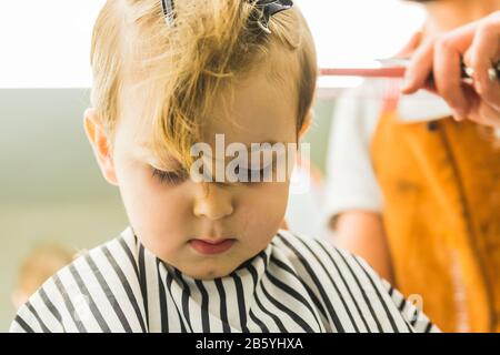 A little boy in a hairdressing salon Stock Photo