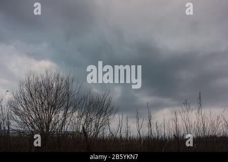 Early Spring landscape with trees silhouettes on the stormy sky with heavy scenic clouds background Stock Photo
