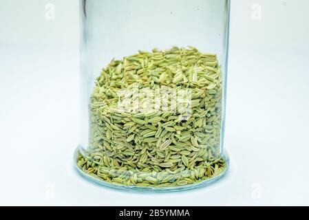 fennel seeds loose inside glass jar on white background Stock Photo