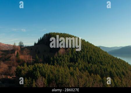 one hill with half big forest, half new forest Stock Photo