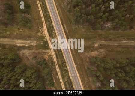 Many Trees Top View Pattern Directly above view of railway tracks cutting through autumn landscape ...