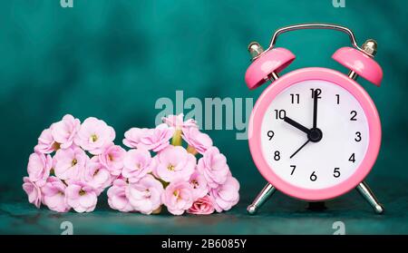 Pink alarm clock and flowers on blue background, spring forward, springtime, daylight savings time concept Stock Photo