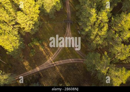 Drone view of tree way dirt road intersection in a forest. Directly above. Stock Photo