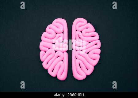 Pink human brain on black background, flat lay. Intelligence concept. Hemispheres mockup, layout. Stock Photo