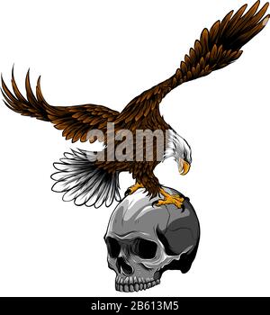 Eagle and Skull vector illustration design art Stock Vector
