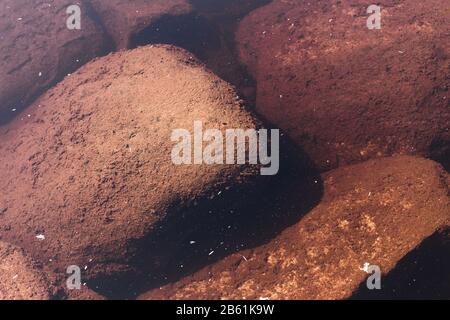 Underwater stones in muddy river Stock Photo