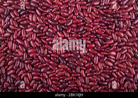 Background from a layer of red large beans. Brown bean solid background.