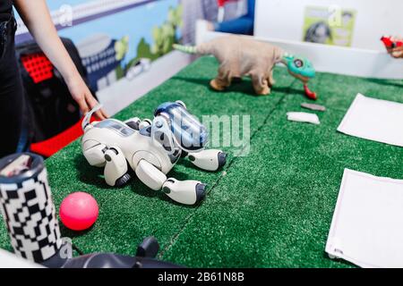 ULTRA MALL, UFA, RUSSIA, 21 AUGUST, 2017: Robot dog at the exhibitoin Stock Photo