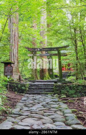 Japan, Honshu, Tochigi  prefecture, Nikko, Unesco site, Kitano shrine torii gate Stock Photo
