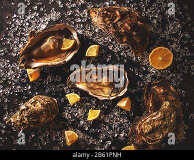 Opened Oysters with ice and lemon on dark background Stock Photo