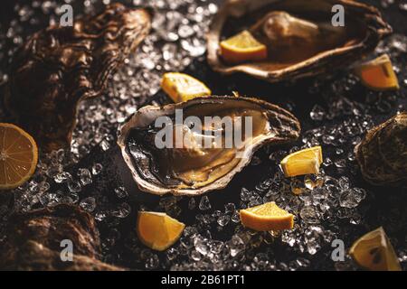 Fresh opened oysters Stock Photo