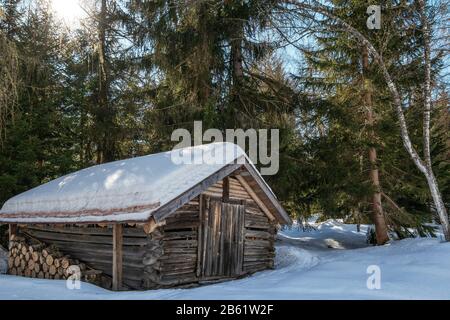 Wooden chalet with cut tree trunks. Winter season, snow. Forest of Seefeld in Tirol. Austria. Europe. Stock Photo