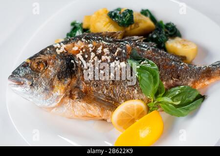 Roasted gilt-head fish with baked potatoes. Stock Photo