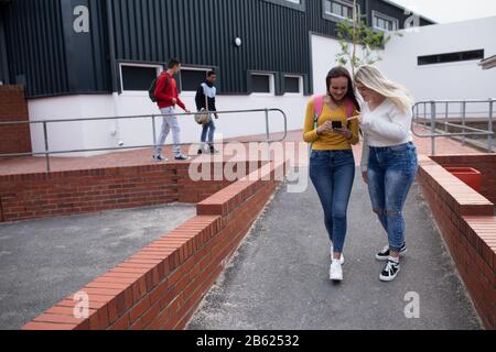 Front view of friends looking at a phone outside Stock Photo