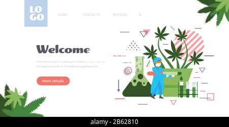 scientist in uniform analyzing cbd hemp oil extract from marijuana plant researcher working in laboratory healthcare pharmacy medical cannabis concept horizontal full length copy space vector illustration Stock Vector