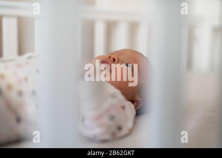Lovely newborn baby girl in bed, view through crib bars Stock Photo