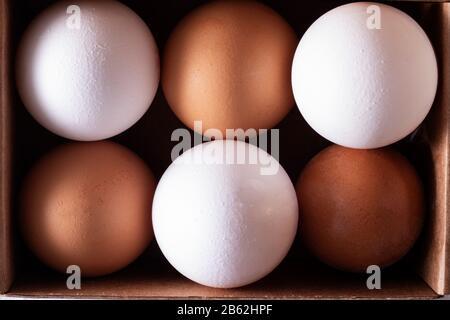 Raw chicken eggs organic food in paper box, high protein for health