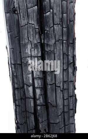 Burnt wood isolated on white background Stock Photo