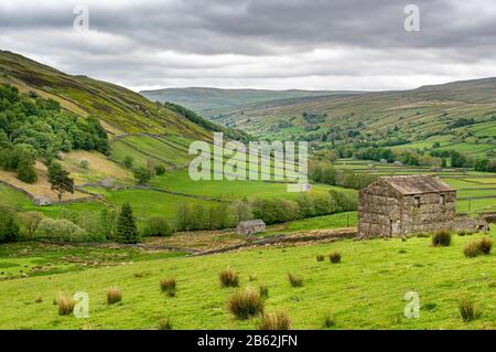 View looking down on traditional stone barns in Swaledale, near Thwaite, Yorkshire Dales National Park.