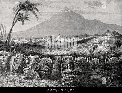 MEXICAN WAR OF THE FRENCH INTERVENTION. French soldiers enter Mexico ...