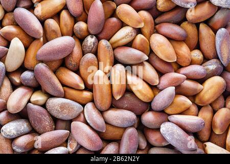 background of unshelled pine nut seeds Stock Photo