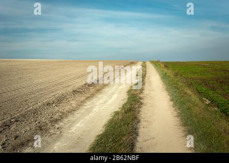 Country road through fields and white clouds on the sky, rural view Stock Photo