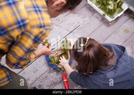 Two Girls On Outdoor Activity Camp Studying Pond Life Found in Weeds Stock Photo