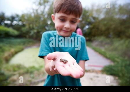 Boy Holding Small Frog As Group Of Children On Outdoor Activity Camp Catch And Study Pond Life Stock Photo