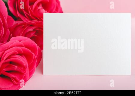 Flowers mock up congratulation. Congratulations card in bouquet of pink red roses on pink background. White blank card with space for text, frame Stock Photo