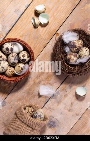 Quail eggs and feathers in the nest, close-up, easter concept. Bur sp sack and nest Stock Photo